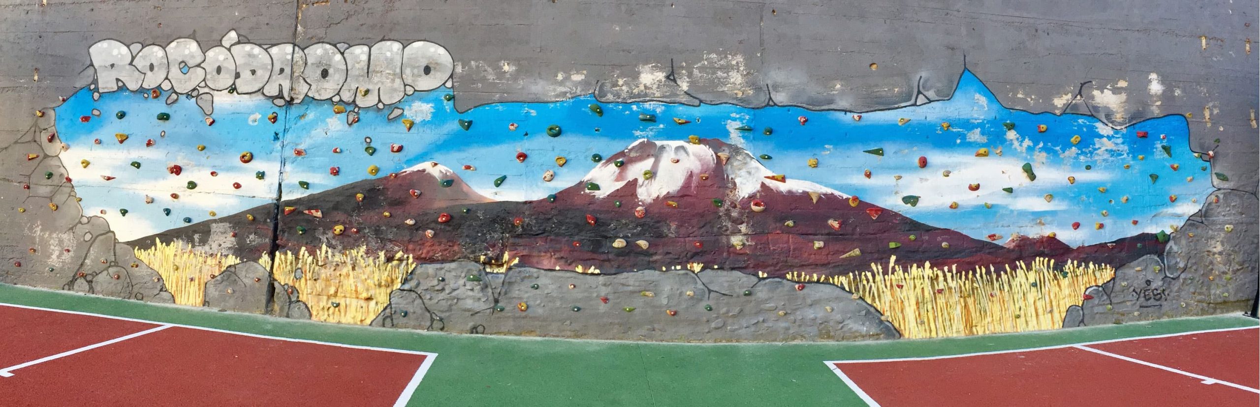 CEIP HERNÁN CORTÉS - rocódromo