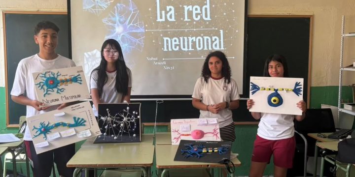 Secundaria y las neuronas