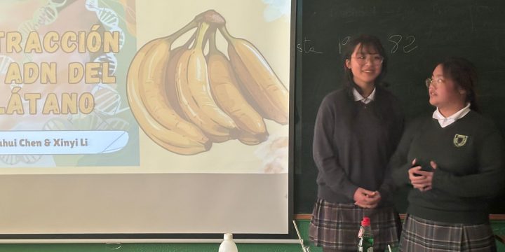 EN 4º ESO, INVESTIGAMOS LA  EXTRACCIÓN DEL ADN DEL PLÁTANO