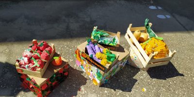 Nuestra labor educativa en el Año Internacional de las frutas y verduras