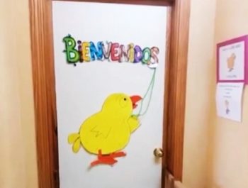 De 0 a 1 año