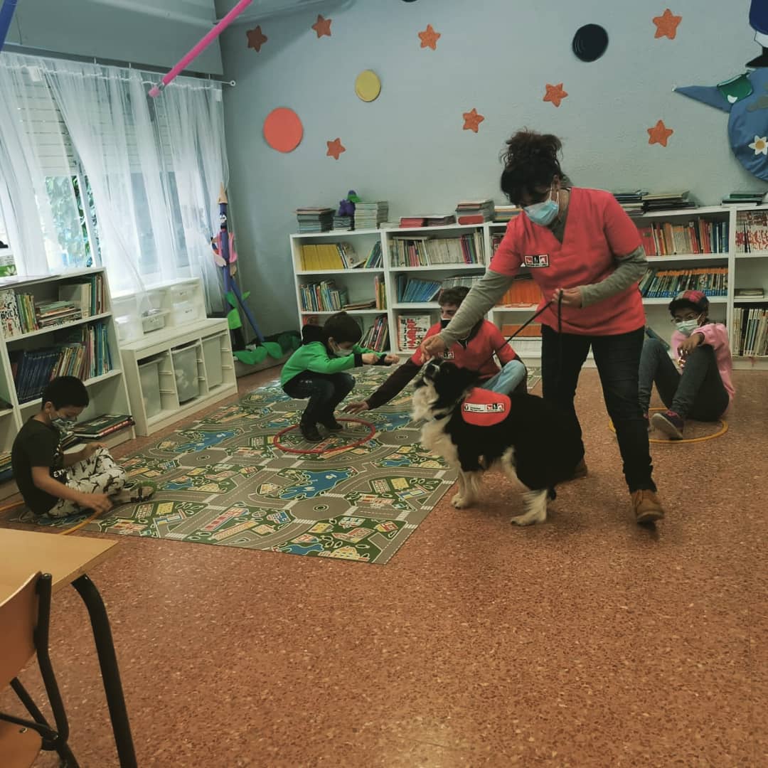 PERRETEA, cooperando con la Universidad Rey Juan Carlos.