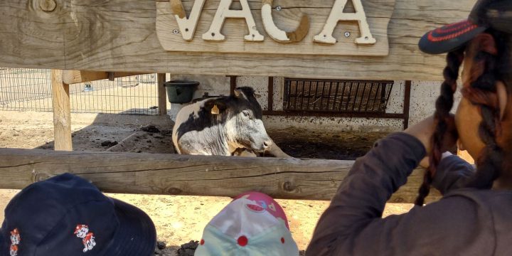 Visita a la granja-escuela La Esgaravita (19 de abril de 2023)