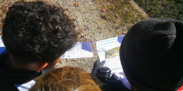 ¡Aventura y Deporte en Diciembre!