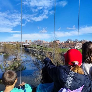 Explorando el Entorno Urbano: Senda Madrid Río