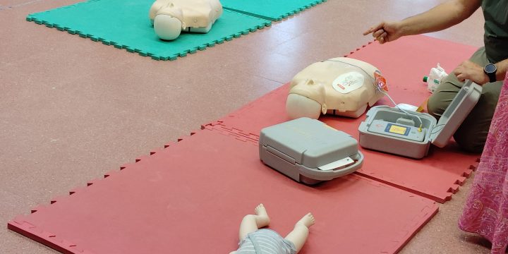 ¡Grandes y pequeños en acción!