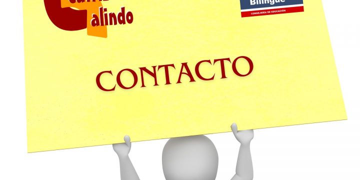 Contacto