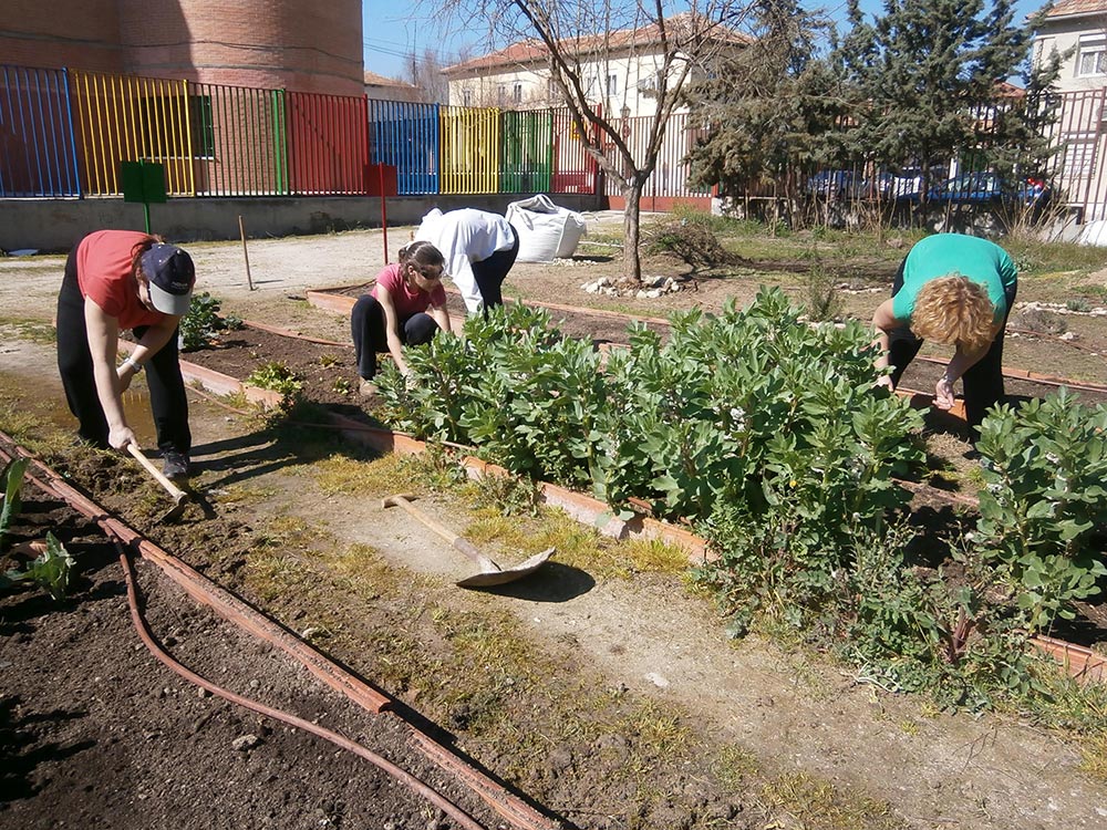 13 LAS MADRES TRABAJAN DURO