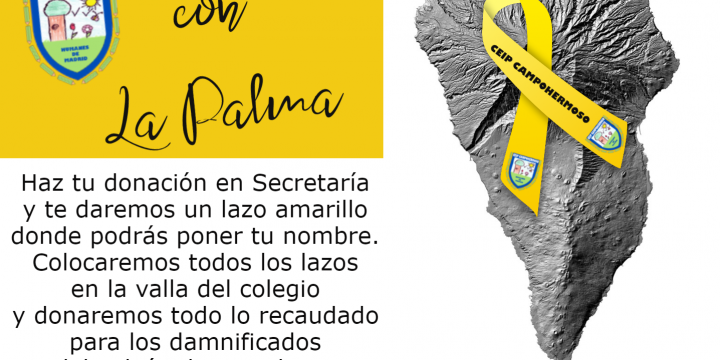 El CEIP Campohermoso con La Palma.