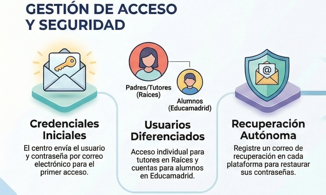 Infografía de acceso a servicios digitales