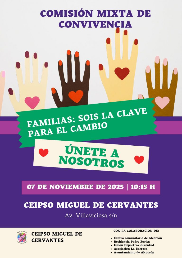 COMISIÓN MIXTA DE CONVIVENCIA