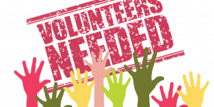 voluntarios