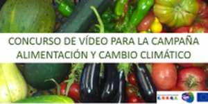 concurso video