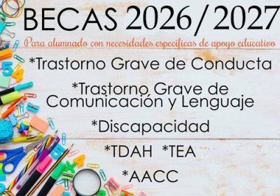 BECAS ACNEEs. CURSO 26/27