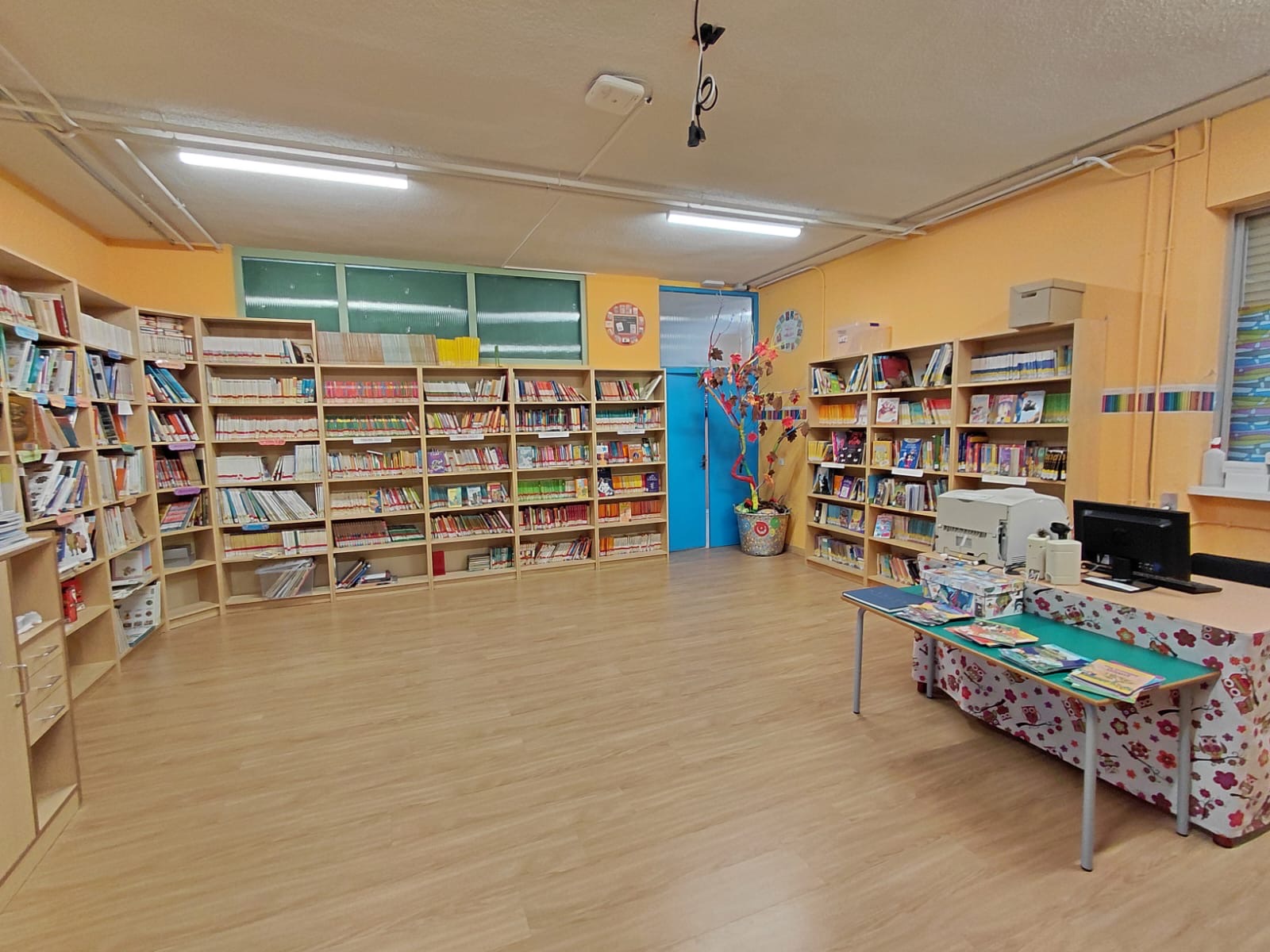 Biblioteca del colegio
