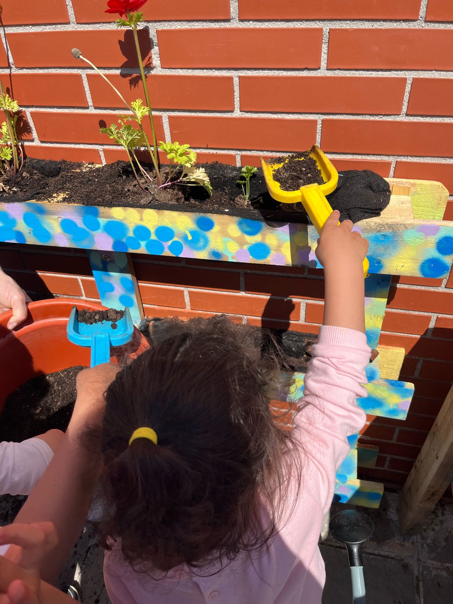 INAUGURAMOS NUESTRO HUERTO