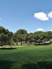 CONVIVENCIA EN LA PRADERA DE S. ISIDRO. 18/04/2024