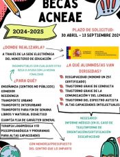 BECAS ACNEAE