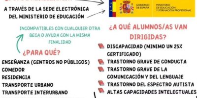 BECAS ACNEAE