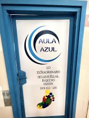 ¿Qué es ser un centro preferente para alumnos TEA?