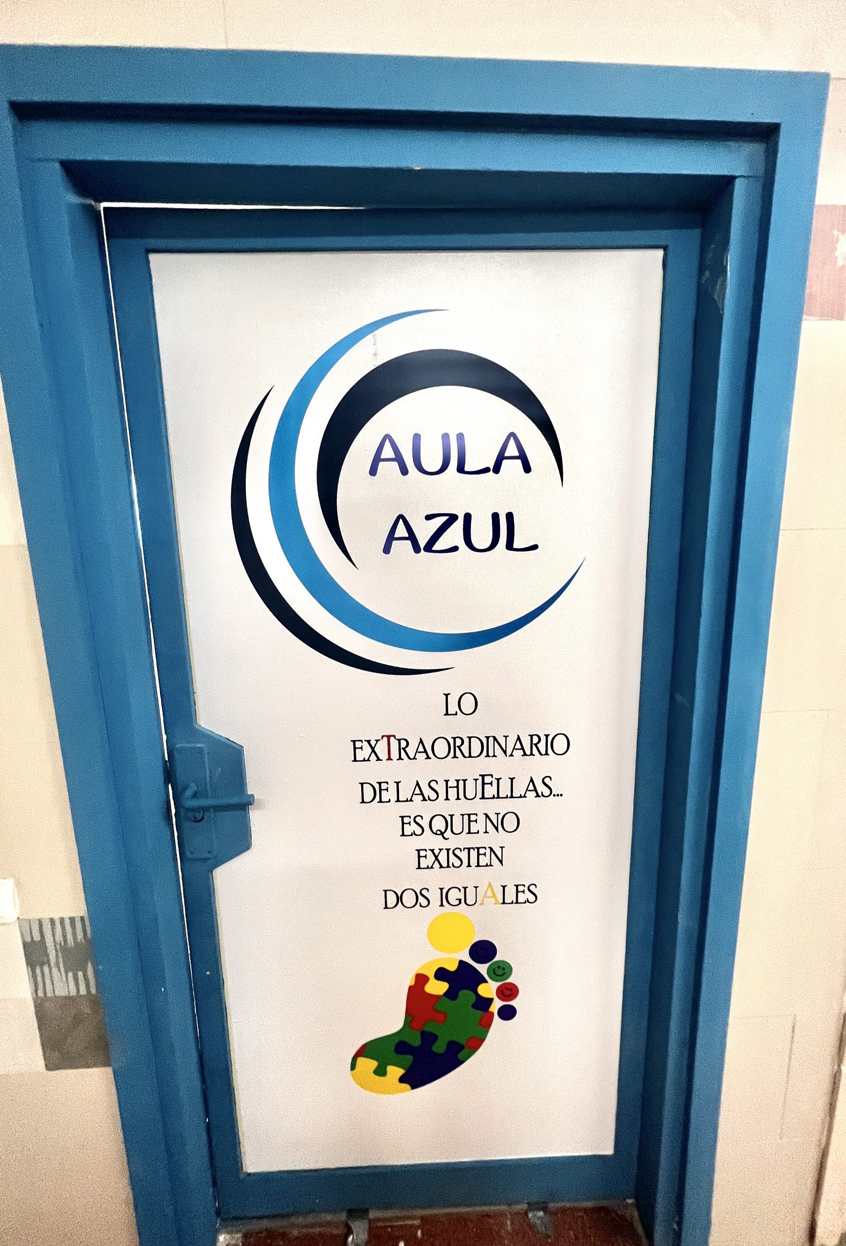 ¿Qué es ser un centro preferente para alumnos TEA?