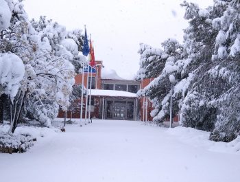 Comienzo 2º trimestre (actualizado 15/01/2021)