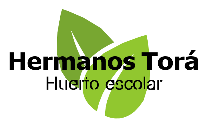 Huerto escolar