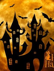 ¡ HALLOWEEN !