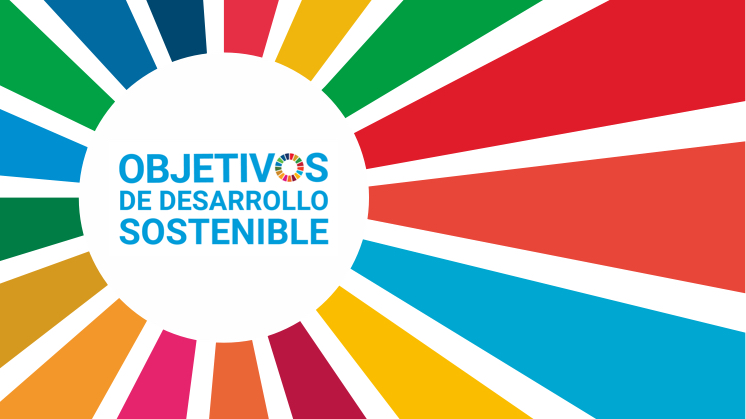 Agenda 2030 ( ODS)