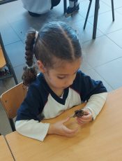 INSTRUCCIONES COMEDOR INICIO CURSO 2024/2025