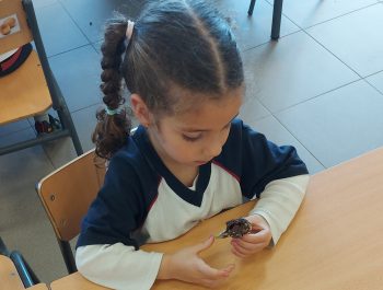 INSTRUCCIONES COMEDOR INICIO CURSO 2024/2025