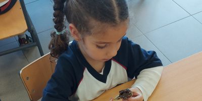 INSTRUCCIONES COMEDOR INICIO CURSO 2024/2025