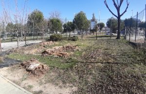 Estado previo