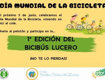 Día Mundial de la Bicicleta