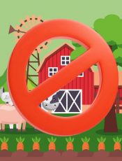 AVISO URGENTE – Visita Granja Escuela