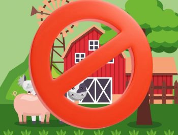 AVISO URGENTE – Visita Granja Escuela