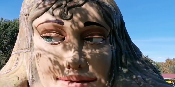Proyecto «El cuerpo humano»