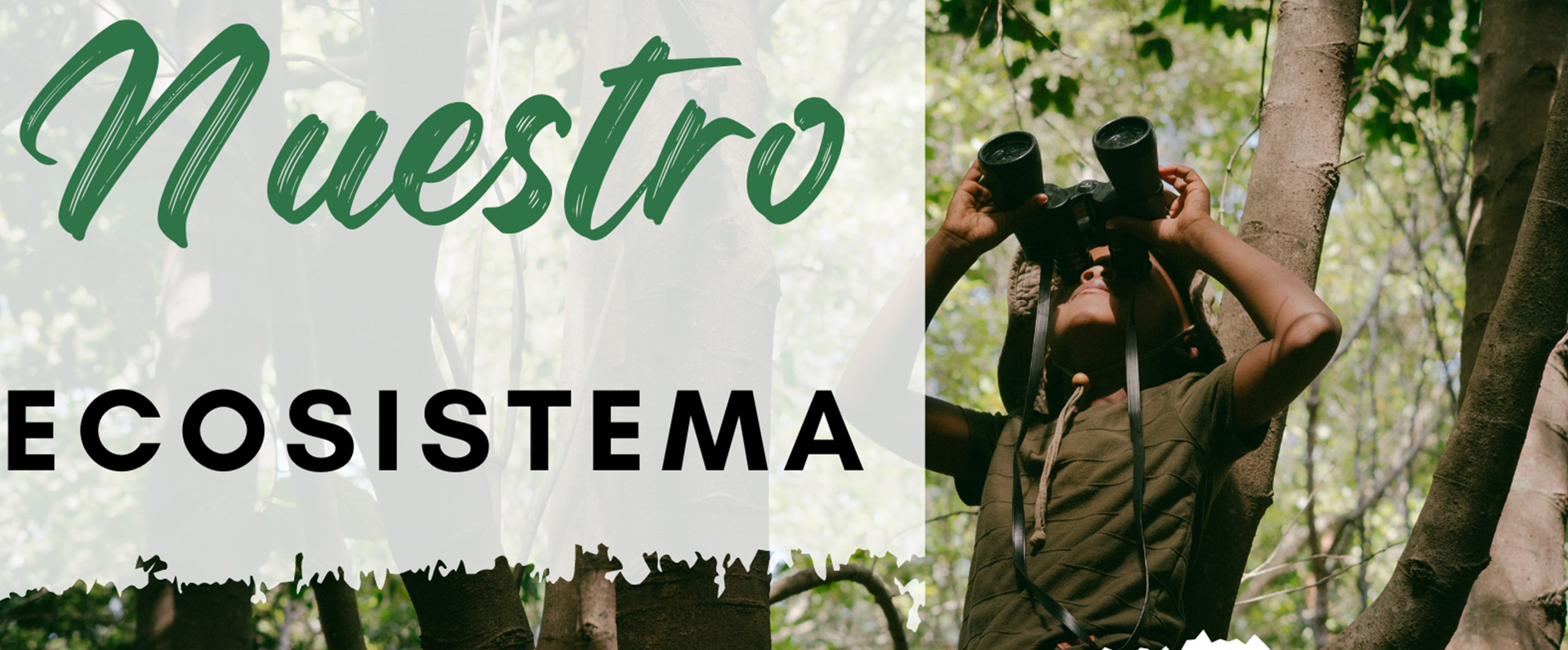 Nuestro Ecosistema