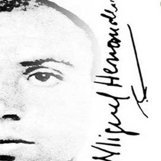 CEIP Miguel Hernandez