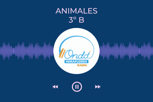 Podcast Primer Trimestre 2025/2026 II