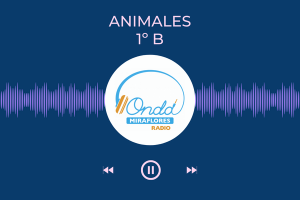 Podcast Primer Trimestre 2025/2026 II