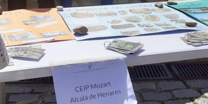 Hemos participado en la actividad «ECORRULO».