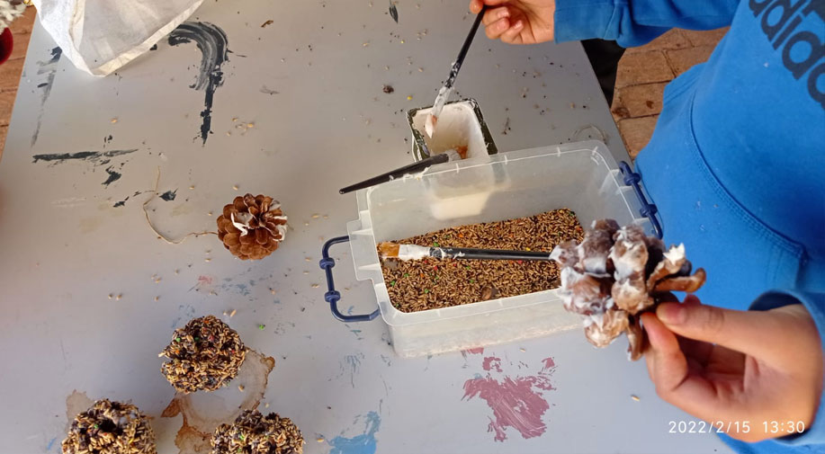 Taller ambiental. Comederos pájaros. CEIP Navahonda.