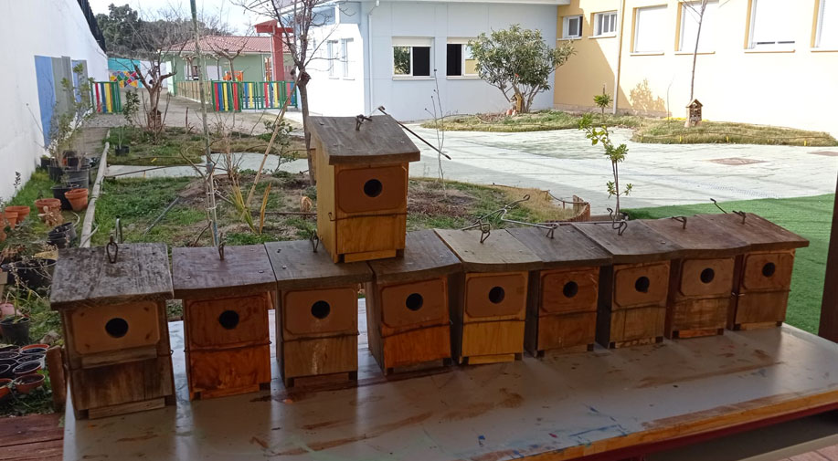 Taller medio ambienta. Preparación de casas nidos para la primavera. CEIP Navahonda.