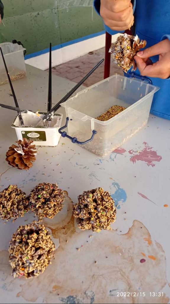 Taller ambiental. Comederos pájaros. CEIP Navahonda.