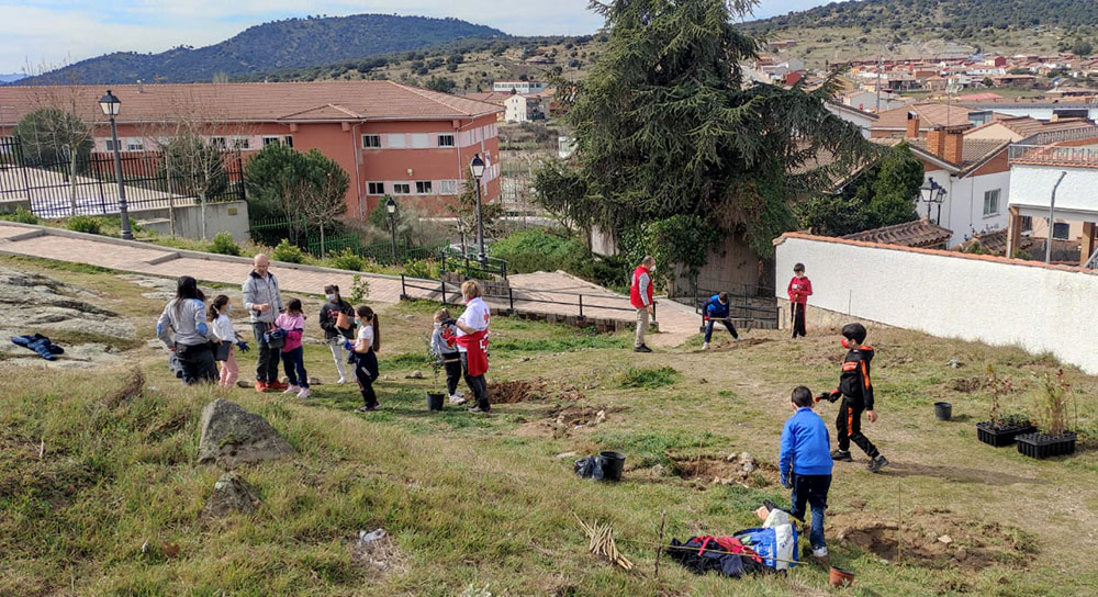 Reforestación de Lisadero. CEIP. Navahonda