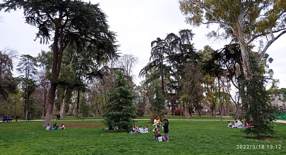 Visita al parque de El Retiro. CEIP. Navahonda