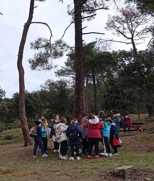 Medio ambiente. CEIP Navahonda