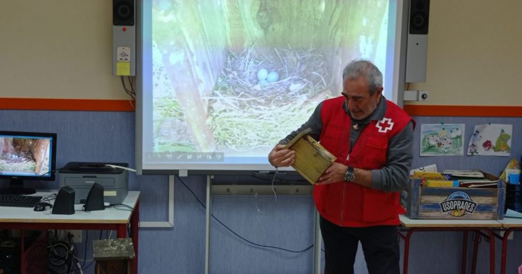 Método científico. CEIP. Navahonda