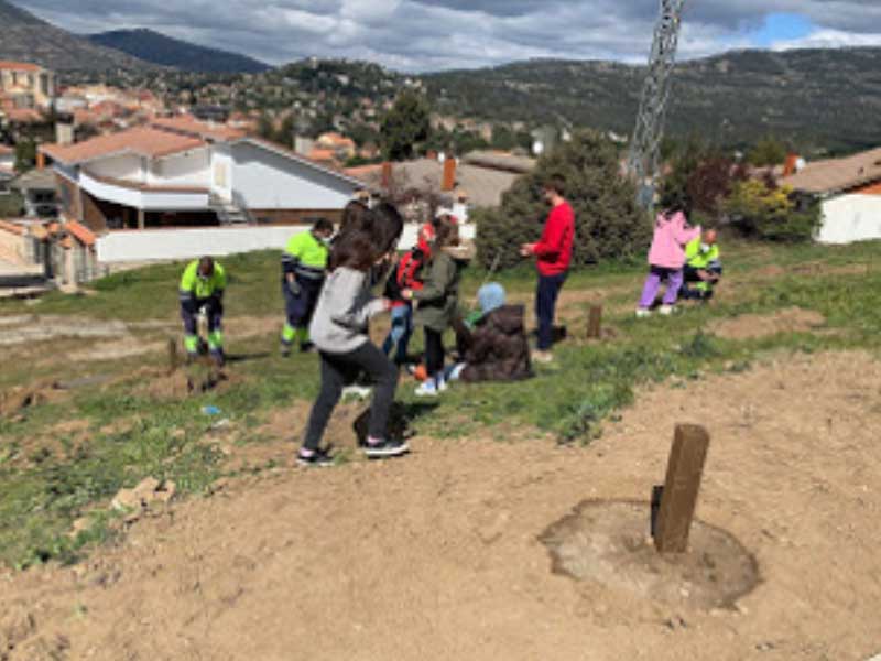 Reforestación de El Lisadero. CEIP. Navahonda